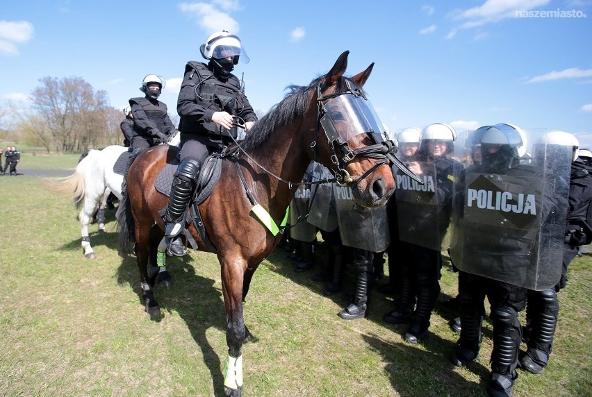 Ćwiczenia policyjnych koni i oddziału prewencji w Szczecinie [zdjęcia, wideo]