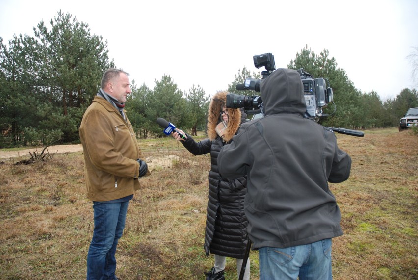 Zające wybiegły na wolność. W województwie lubelskim z roku na rok rośnie populacja zajęcy (ZDJĘCIA)