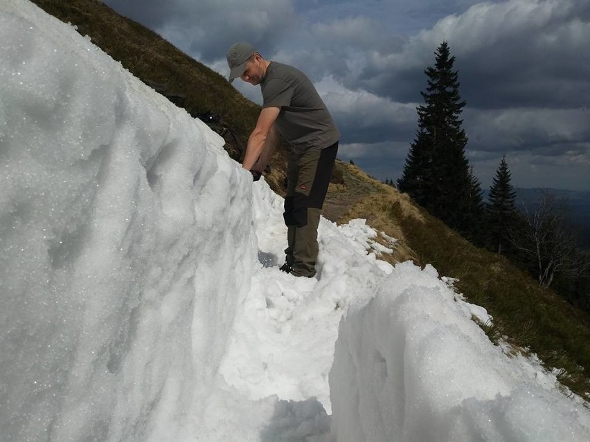 W Karkonoszach przekopali przejście w śniegu dla turystów [ZDJĘCIA]
