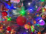 Wilijo, kristbaum i geszynki, czyli Boże Narodzenie po śląsku [QUIZ]