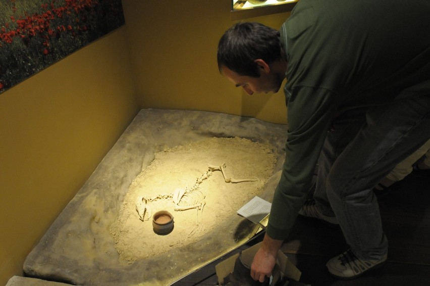 Wystawa archeologiczna na Zamku Lubelskim: Jak żyli nasi praprzodkowie (ZDJĘCIA)