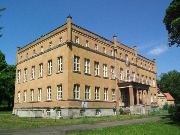 Pałac w Dąbroszynie obecnie stoi pusty i od lat czeka na kupca.
