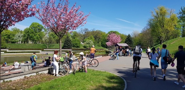 W lutym opisywaliśmy historię poznańskiego przedsiębiorcy Grzegorza Jankowskiego, właściciela mobilnej kawiarni La Cafeine. Pan Grzegorz przez długi czas bezskutecznie starał się o uzyskanie pozwolenia od Zarządu Zieleni Miejskiej na prowadzenie biznesu na terenie parku Cytadela. Mimo braku zgody, mobilna kawiarnia stawała w weekendy przy rosarium.