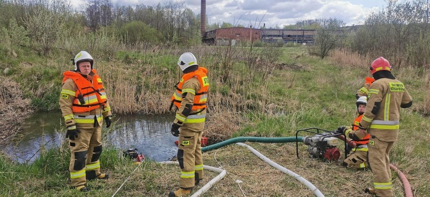 Widowiskowe ćwiczenia służb ratunkowych w zakładach "Odonów" w Kazimierzy Wielkiej - zobacz zdjęcia