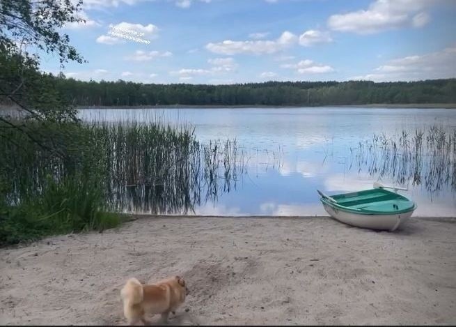 A miesiąc temu też odludne miejsce nad jeziorem