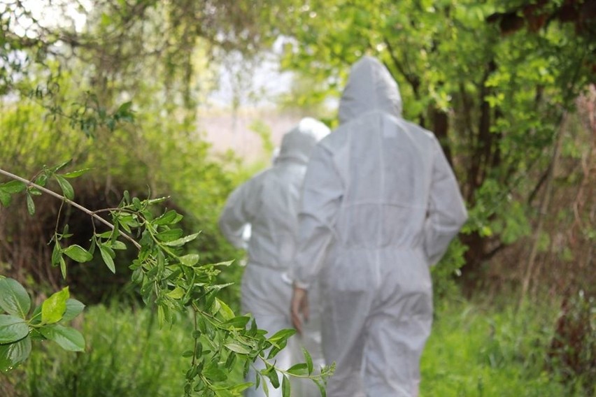 Medycy w asyście strażników miejskich docierają do koczowisk, żeby pomóc bezdomnym [ZDJĘCIA]