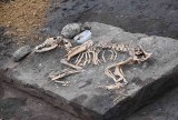 W Kruszy Zamkowej (gm. Inowrocław), na terenie legendarnego Askaukalis archeolodzy odkryli kolejne skarby z przeszłości. Zdjęcia