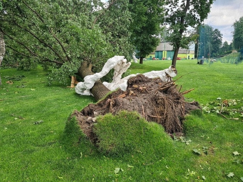 Zniszczenia w parku przy polu golfowym. Ucierpiały rzeźby, uciekły zwierzęta ZDJĘCIA
