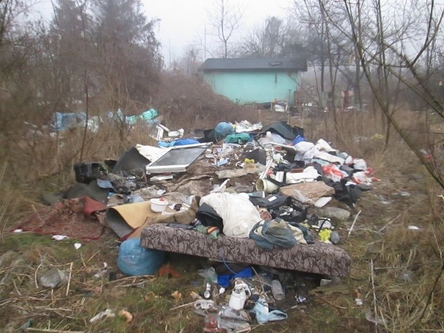 Przemysław Piwecki ze straży miejskiej zapowiada, że zleci posprzątanie terenów byłych ogrodów działkowych