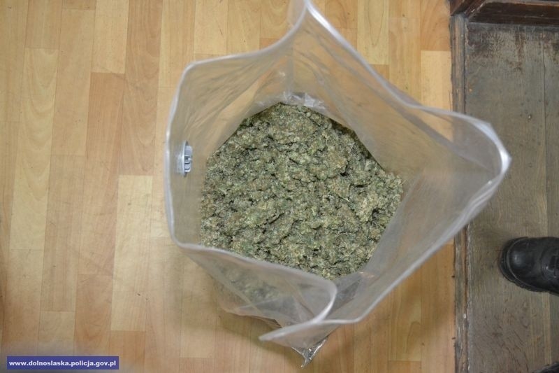 Policjanci przechwycili 18 tysięcy porcji marihuany i amfetaminy