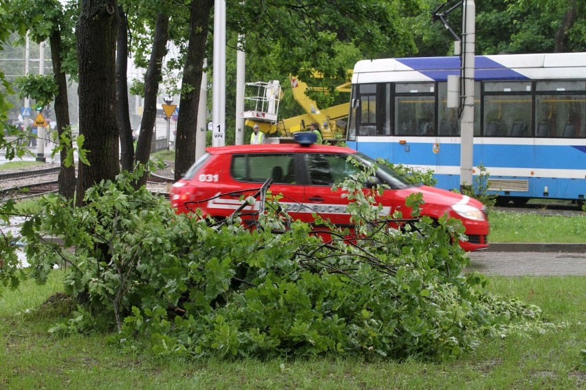 Wrocław: Gałęzie zagrażały trakcji tramwajowej przy Grabiszyńskiej. Konieczna była wycinka (ZDJĘCIA)