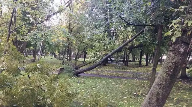 W całym woj. śląskim orkan spowodował szkody