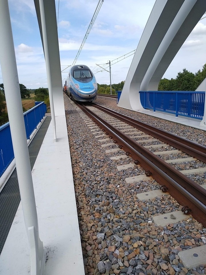 Ewakuacja Pendolino na Centralnej Magistrali Kolejowej w powiecie tomaszowskim. Policja szuka sprawców kradzieży trakcji [FOTO]