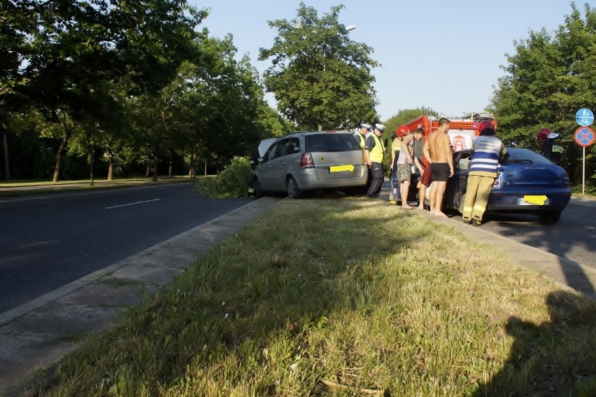 Kolizja na ul. Gdańskiej. Przecieli drzewka [zdjęcia, wideo]