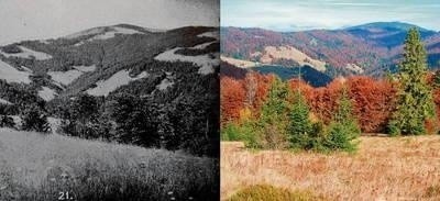 Ochotnica, widok na Gorce. Archiwalna fotografia pochodzi z 1935 r., współczesna z 2011 r. Porównując obie fotografie, można zauważyć, że lasy świerkowe porastają dawne pastwiska oraz grunty orne, podczas gdy powierzchnia lasów bukowych nie podlegała istotnym zmianom. Fot. Dominik Kaim, IGiGP UJ