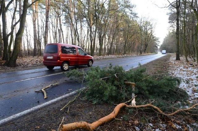 Ksawery w Wielkopolsce: Strażacy i enerketycy podsumowują działania