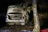 Tragedia w gminie Miedźno. W lesie doszczętnie spłonął samochód bmw. W środku znaleziono zwłoki mężczyzny