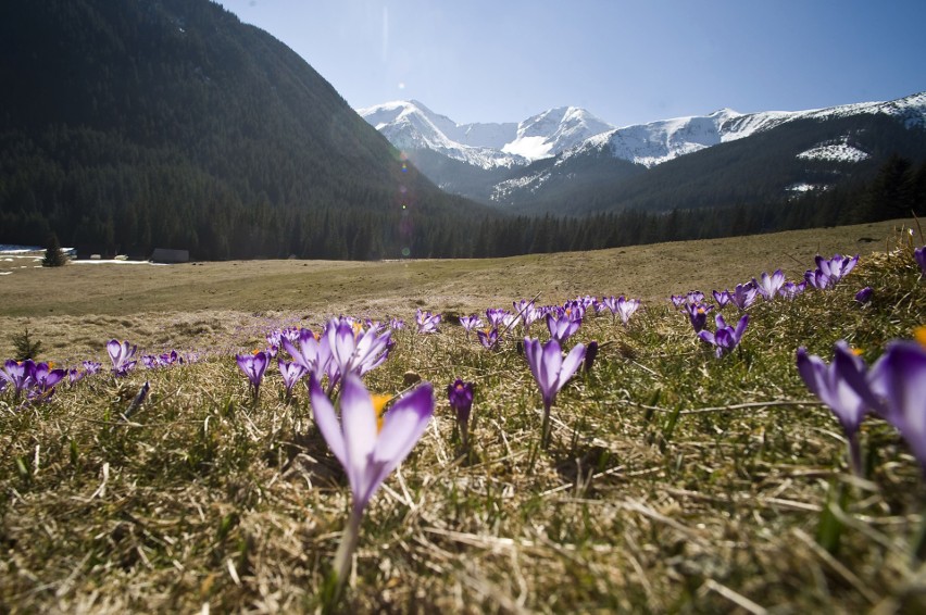 Wiosenne widoki w Tatrzańskim Parku Narodowym
