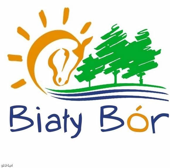 Zwycięskie logo Białego Boru.