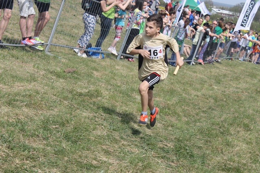 Cross Straceńców 2015. Sztafetowe Mistrzostwa Głogowa [Zdjęcia]