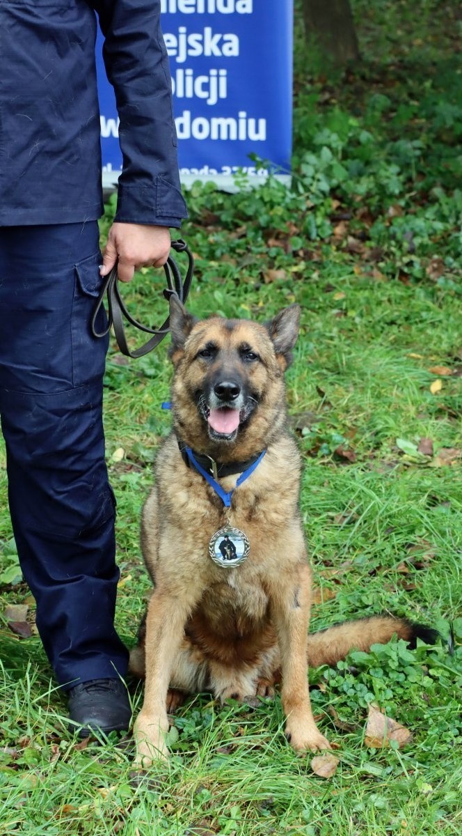 Hos odszedł na emeryturę. Pies od lat służył w policji w Radomiu, na koniec dostał medal i zamieszkał u swojego przewodnika
