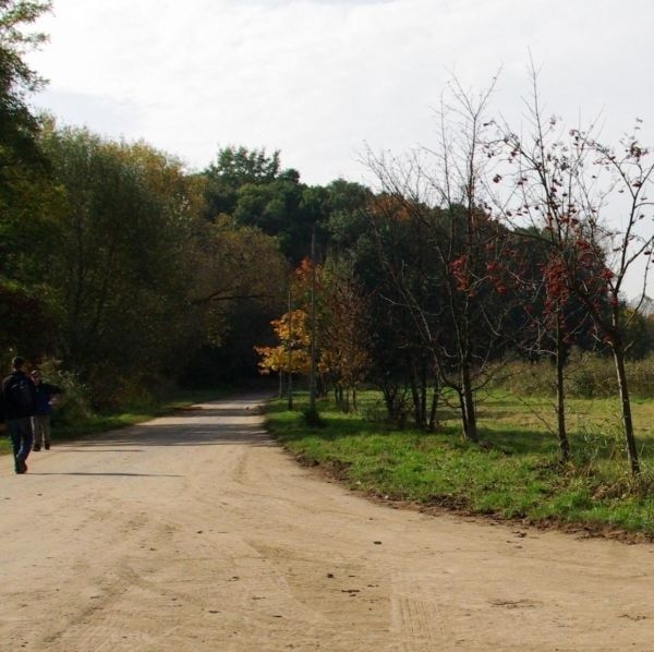 Zdaniem dyrekcji tarnobrzeskiego Szpitala Wojewódzkiego najlepszym miejscem na potrzeby lądowiska są tereny na Nadolu.