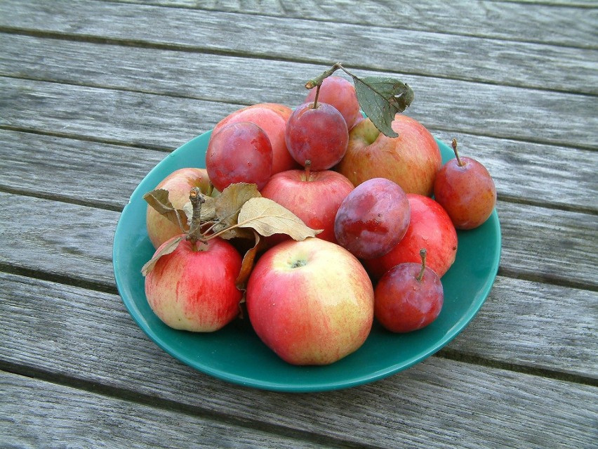 We wrześniu czekają nas zbiory m.in.: jabłek, gruszek,...