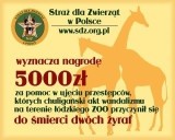 5 tysięcy zł nagrody za wskazanie chuliganów, którzy spowodowali śmierć żyraf