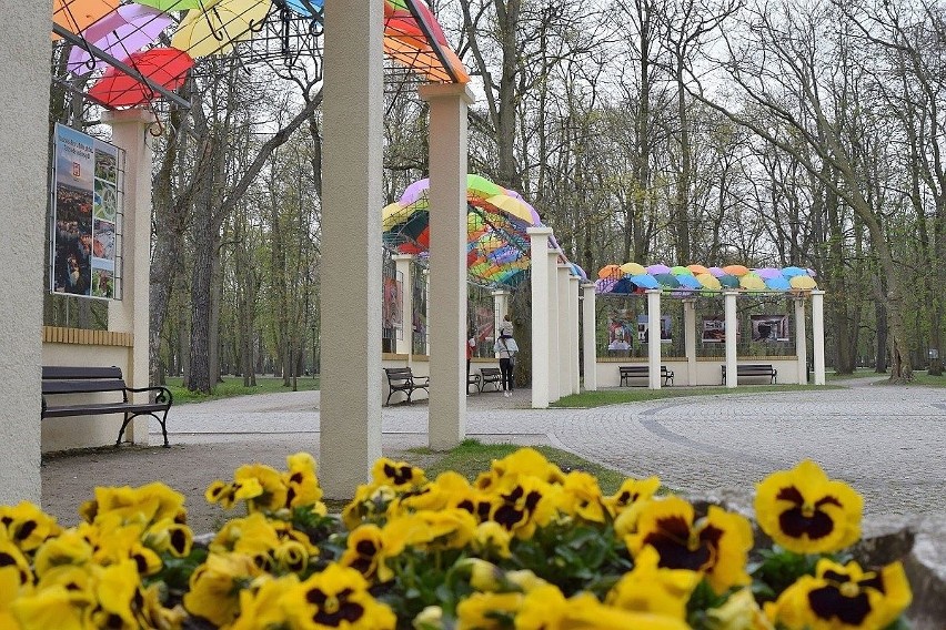 Inowrocław. Pergola w Parku Solankowym zwraca uwagę kolorowymi parasolkami i wystawą zdjęć różnych zakątków miasta [zdjęcia]