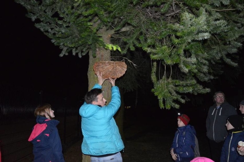 Kampania Sowy Pomorza. nocne podchody w kartuskim lesie...