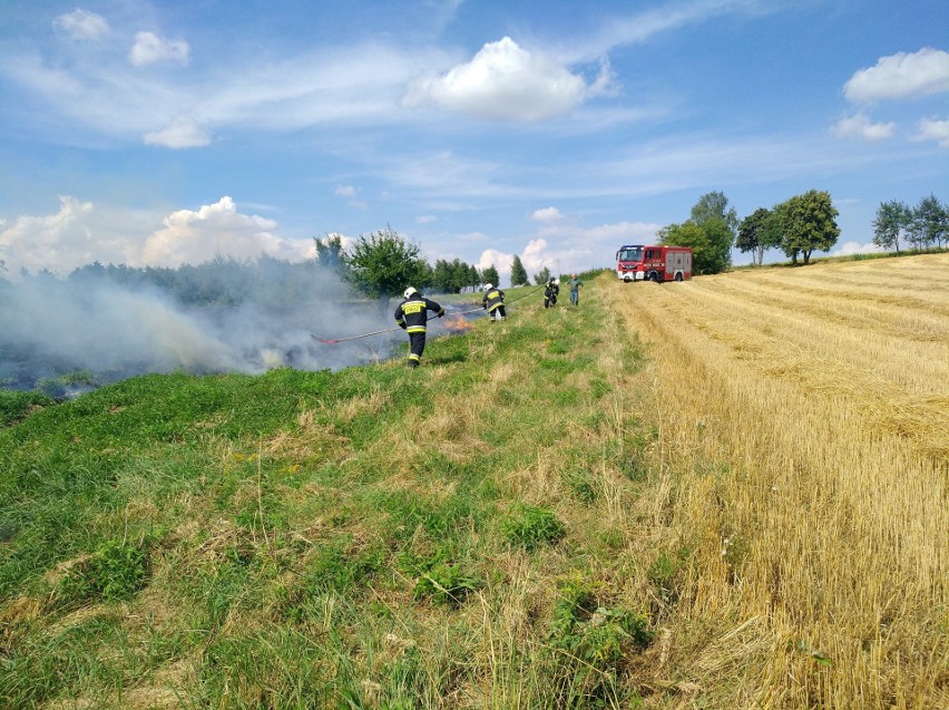 Niebezpieczny pożar traw podczas upałów. Ogień rozprzestrzeniał się błyskawicznie