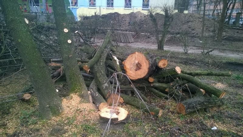 Wycinają drzewa na ul. Niciarnianej