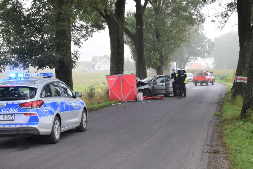 Do wypadku doszło przy wjeździe do Orłowa od strony Rojewa