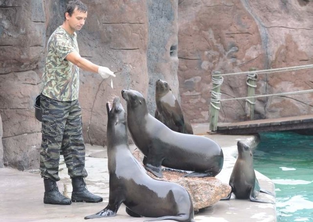 W ubiegłym roku opolski ogród zoologiczny odwiedziło rekordowe 246 tysięcy osób.