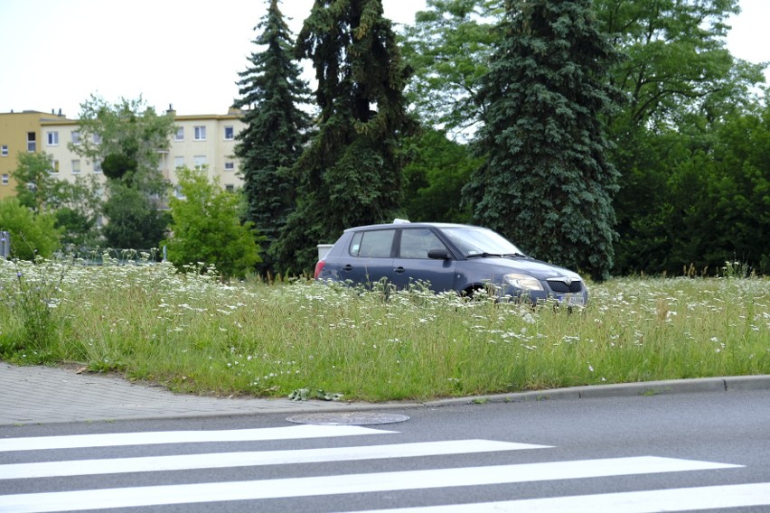 Zarośnięte wysoką trawą rondo Pokoju Toruńskiego