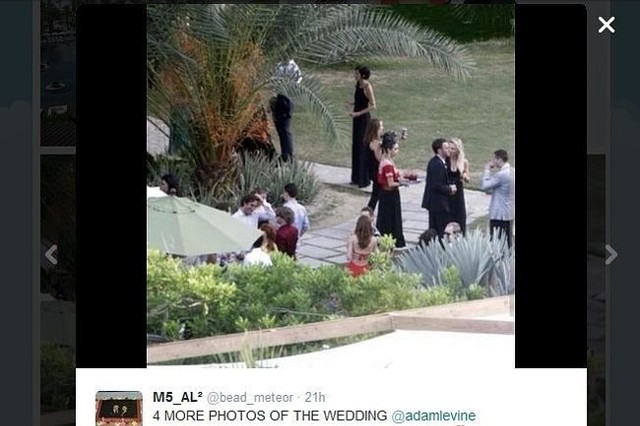 Ślub Adama Levine i Behati Prinsloo (fot. screen z Twitter.com)