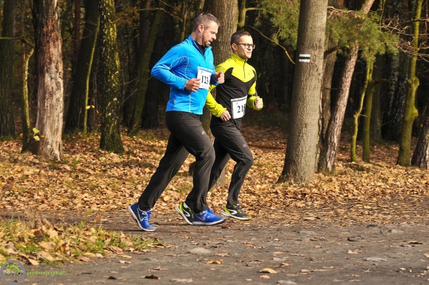 Bieg Wiewiórki 2016 - zdjęcia z finałowego biegu