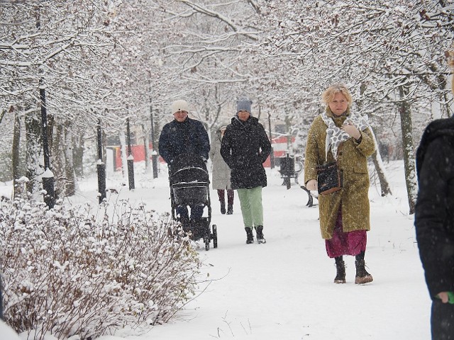 Łodzianom najwidoczniej spodobała się zima, wyruszyli na spacery.