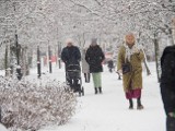 Pogoda w Łodzi. Jak długo potrwa zima? Czy będzie białe Boże Narodzenie? Sprawdź