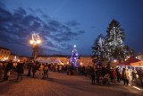 Brzesko. Urząd miasta szuka chętnych do odstąpienie choinki na Rynek w Brzesku na czas Bożego Narodzenia
