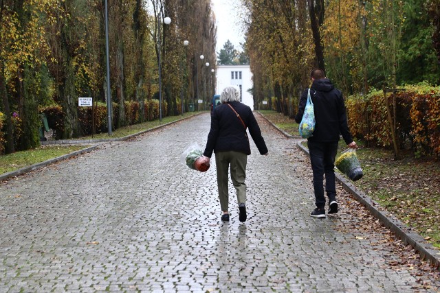 Od wtorku, gdy ponownie otwarto cmentarze, na grobach przybywa kwiatów i zniczy.