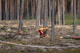 Pierwsze Zawody Drwali w Mokrej. Poznajcie zwycięzców rywalizacji leśników. Zobaczcie zdjęcia