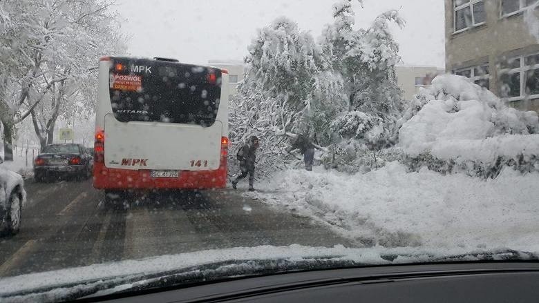 - Na obszarach powyżej 800 metrów nad poziom morza...