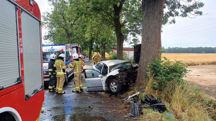 Tragiczny wypadek na Dolnym Śląsku. Kierowca wjechał w...