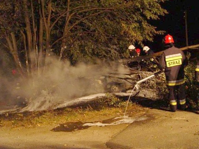 Powalone na samochód drzewo uniemożliwiło kierowcy ucieczkę. Auto stanęło w płomieniach
