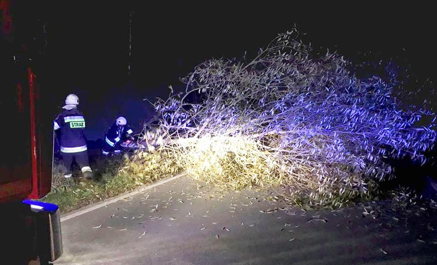 Strażakom z OSP w Gostwicy pobudkę nocnym alarmem urządziły... bobry