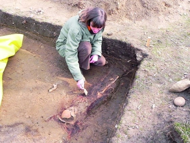 Archeolodzy odkryli kilkadziesiąt grobów. Szkielety zostały przekazane do dalszych badań.