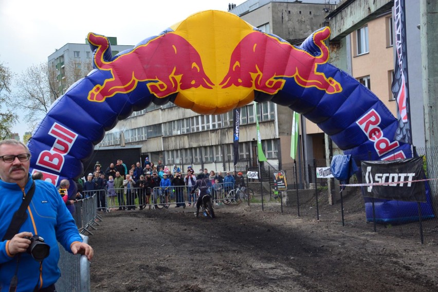 Dębowy Maj Festiwal trwa w Dąbrowie Górniczej