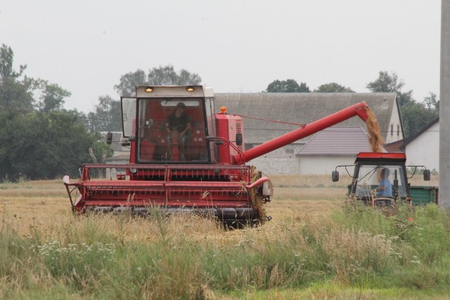 Rolnicy spieszą się ze zbiorem plonów. Pogoda w czasie tegorocznych żniw ich nie rozpieszcza.