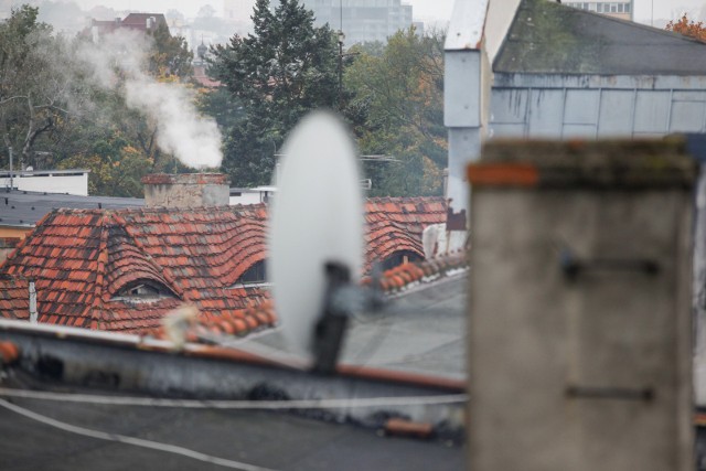 Główną przyczyną zanieczyszczenia powietrza w Polsce jest „niska emisja”, czyli spaliny pochodzące z kotłów i pieców na paliwa stałe w gospodarstwach domowych